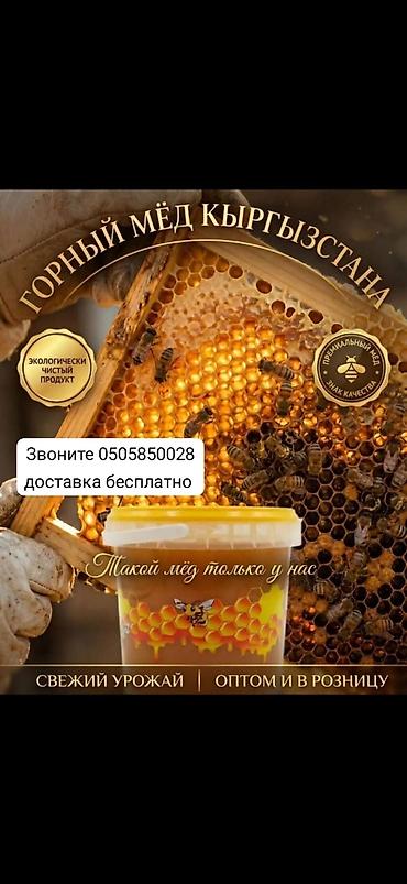 некая: 🍯Токтогульский Горный Майский Мёд (Разнотравье) — Ваш природный — 1