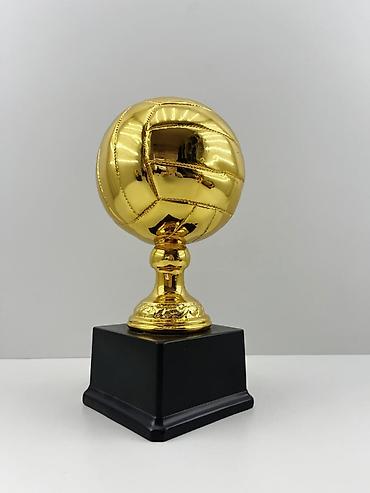 Спорт и отдых: №: 15516 Məhsulun adı: Kubok, qızılı, metal, 25 sm Brend: No Brand — 2