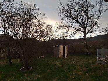 ev: Zaqatala, 70 kv. m, 3 otaqlı, Hovuzsuz, Kanalizasiya, Telefon, İşıq — 6
