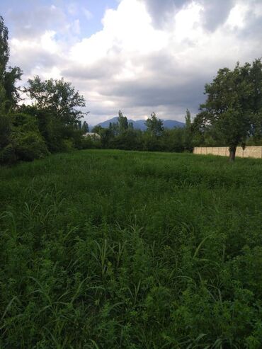 Torpaq sahələrinin satışı: 20 sot, Tikinti, Mülkiyyətçi, Kupça (Çıxarış) — 7