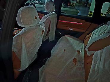 Voyah: Voyah Dream 1.8 l — 13