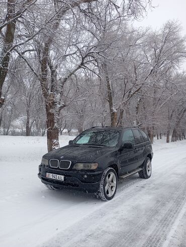 BMW: BMW X5: 2003 г., 4.4 л, Автомат, Бензин, Кроссовер — 20