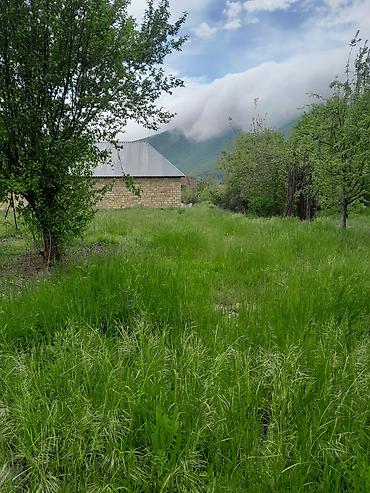 Torpaq sahələrinin satışı: Satış üçün torpaq sahəsi - Yaşıl örtüklü, meşəyə yaxın, təbiətlə — 1