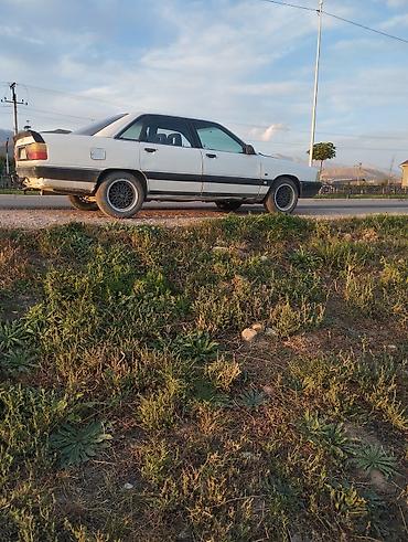 Audi: Audi 80: 1989 г., 2 л, Кол менен иштөөчү, Бензин, Седан — 3