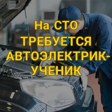 вакансии компьютерный мастер: Талап кылынат Унаа электриги, Төлөм Күнүмдүк, Кирешеден пайыз, Тажрыйбасыз