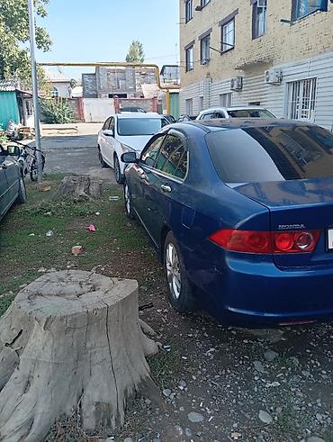 Honda Accord: 2006 г., Автомат, Седан