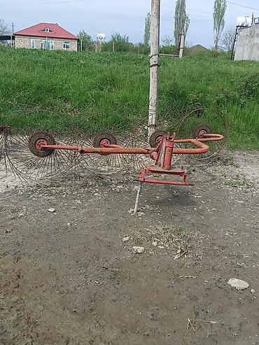 belarus yumze: SATILIR VƏ YA Heyvanan barter olunur!!! Məhsul: Kənd təsərrüfatı — 4
