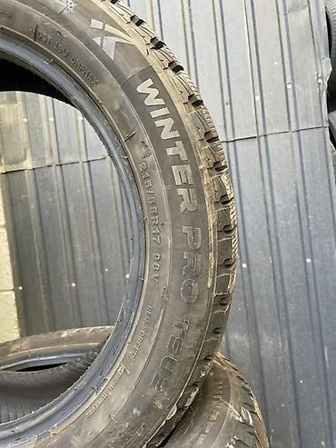 bis vip: Шины 215 / 55 / R 17, Зима, Новый, Комплект, Легковые, Tourador — 3