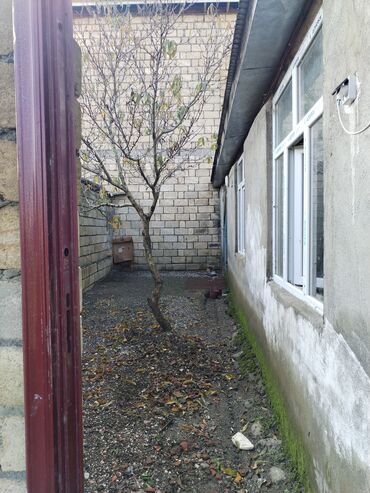 Uzunmüddətli kirayə evlər: 32 kv. m, 2 otaqlı, Qaz, İnternet, Artezian quyusu — 17