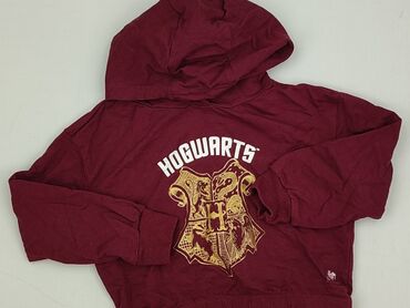 Sweatshirt, Harry Potter, 7 years, 116-122 cm, condition - Very good