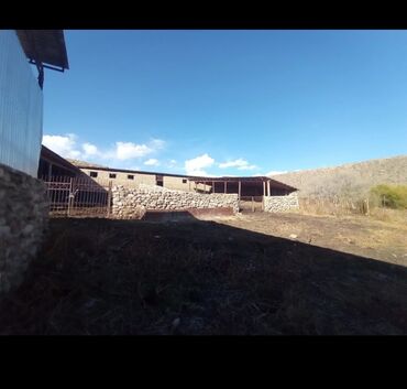 Другие товары для дома и сада: Продается действующий бизнес кашар вместе с садом для разведения скота — 10