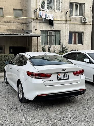kia optima 2016: Kia Optima: 2016 г., 2.4 л, Автомат, Бензин, Седан — 4