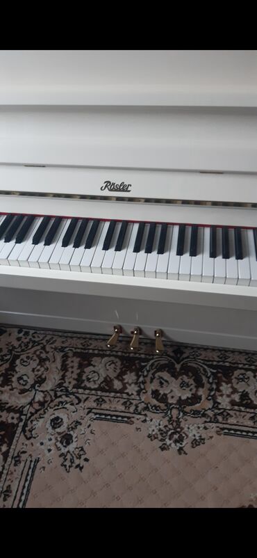 познание мира 3 класс рабочая тетрадь ответы: Piano, Rösler, Akustik