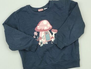 koszula na bluze: Sweatshirt, Lupilu, 5-6 years, 110-116 cm, condition - Good