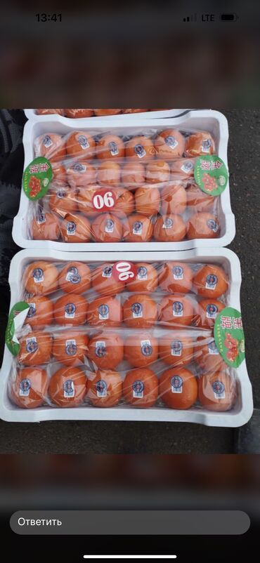 мандарины цена бишкек: Семена и саженцы Самовывоз, Платная доставка