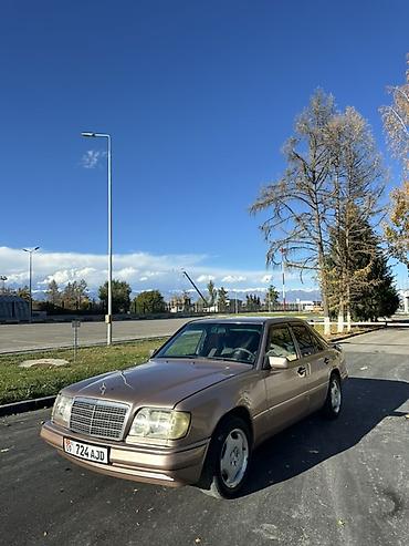 Mercedes-Benz W124: 1993 г., 2.2 л, Автомат, Бензин, Седан