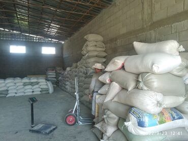 элевит пронаталь 2 триместр цена бишкек в Кыргызстан | Продажа квартир: Продаю пшеницу 2 
В мешках