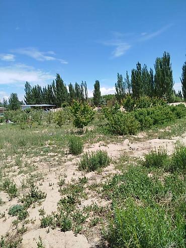 Продажа участков: 200 соток, Для сельского хозяйства — 19