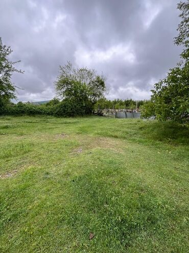 Torpaq sahələrinin satışı: 5 sot, Kənd təsərrüfatı -da lalafo.az — 8 Torpaq sahələrinin satışı: 5 sot, Kənd təsərrüfatı — 8