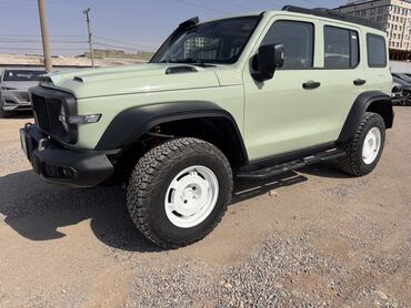 Tank: Tank 300: 2024 г., 2 л, Автомат, Бензин, Внедорожник — 2