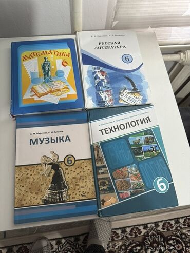 физика 8 класс жаны китеп: Комплект школьных учебников для 6 класса: - Математика (обложка
