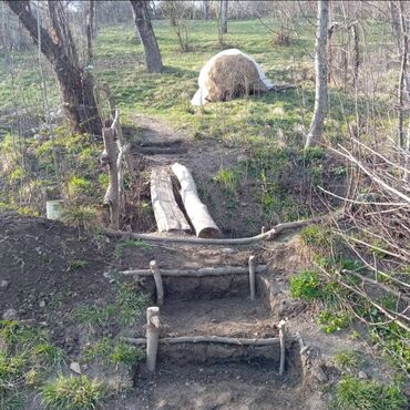 Torpaq sahələrinin satışı: 15 sot, Mülkiyyətçi, Kupça (Çıxarış), Texniki pasport — 13