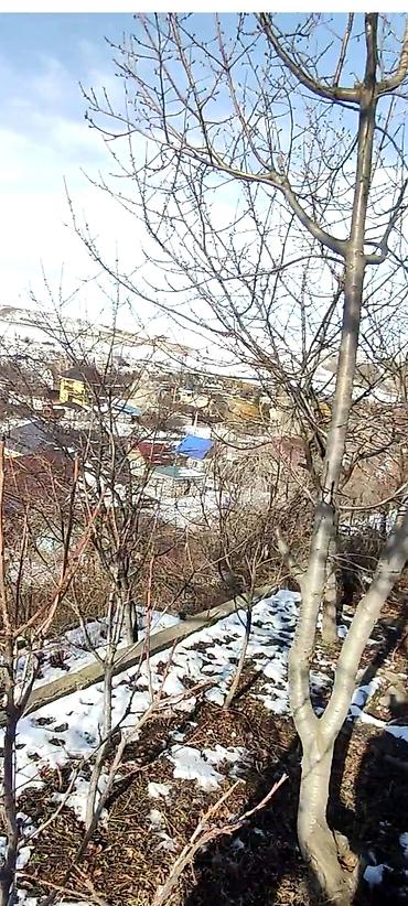 Куплю дом: 4 м², 1 комната, Забор, огорожен — 2