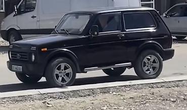 сигналки: ВАЗ (ЛАДА) 4x4 Нива: 2008 г., 1.7 л, Механика, Бензин, Внедорожник — 1