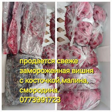 Фрукты и ягоды: Рассада : Черешня, Самовывоз