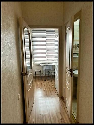 сдаю кв кара жыгач: 1 комната, 33 м², Кара-Жыгач ж/м Элитка, 2 этаж, Евроремонт — 10