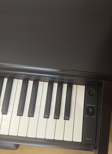 Скрипки: Пианино, Yamaha, Цифровой