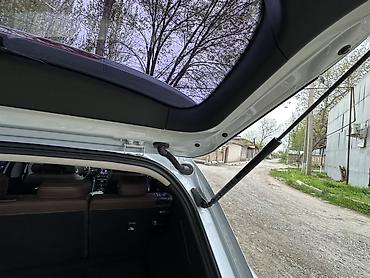 Changan: Changan : 2019 г., Газ — 33