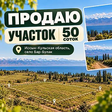 50 соток