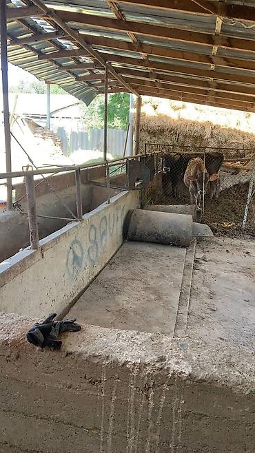 Продажа коттеджей и домов: Продаётся одноэтажный жилой дом с участком. - Планировка: несколько — 14