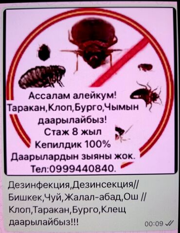 спортивные костюмы оптом: Дезинфекциялоо, дезинсекциялоо, | Канталалар, Бүргөлөр, Таракандар, | Транспорт, Офистер, Батирлер