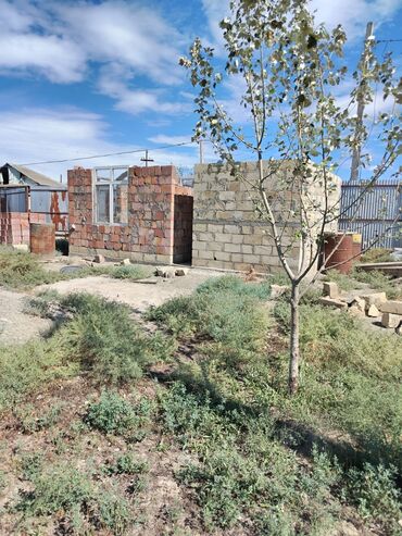 Torpaq sahələrinin satışı: 30 sot, Kənd təsərrüfatı, Mülkiyyətçi, Bələdiyyə — 7