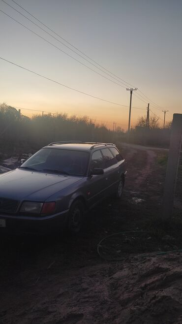 Audi: Audi 100: 1992 г., 2.3 л, Механика, Бензин, Универсал