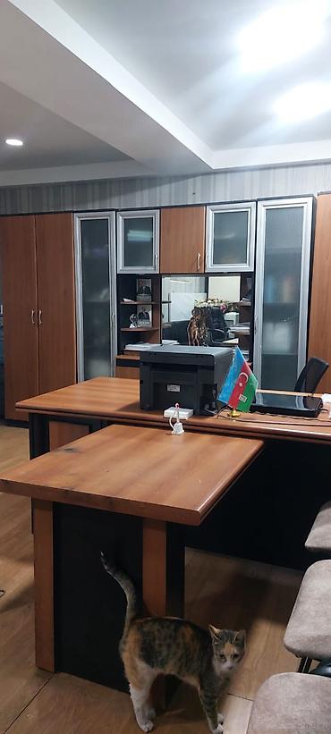 Недвижимость: Ofis şəxsidir çıxarışı qeyriyaşayışdır yeri Sarapskiplaza ərazisi 5 — 1