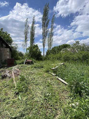 24: 16 соток, Для строительства, Договор купли-продажи, Красная книга — 7