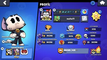 Медицина, фармацевтика: Brawl Stars hesabı – yüksək kubok və zəngin kontent - Profil