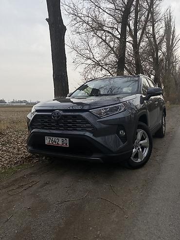 Toyota: Toyota RAV4: 2019 г., 2.5 л, Вариатор, Гибрид, Кроссовер — 1