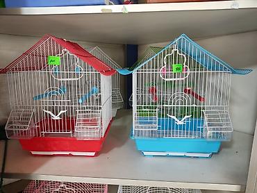 Зоотовары: Клетки для птиц и грызунов! — 5
