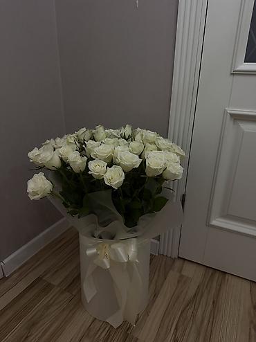 бесплатное проживание: Сдается комната с подселением для одной девушки-студентки второй смены — 1
