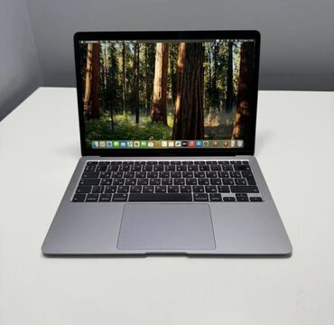 ddr2 1gb: Apple, 8 ГБ ОЭТ, Intel Core i5, Колдонулган