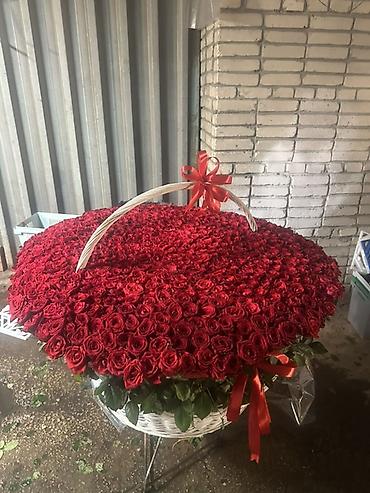 бесконечные розы: Огромная корзина из красных роз - Состав: сотни свежих красных роз — 9