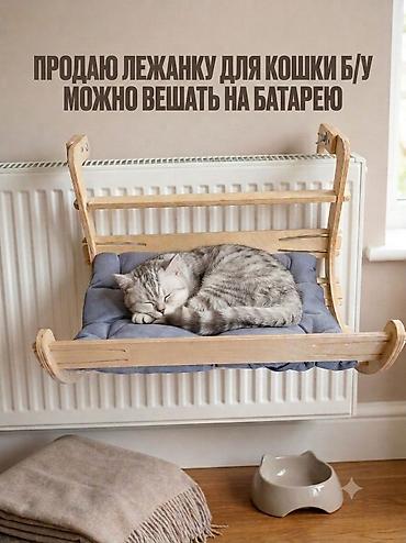 ат арзан: Продаю Лежанку для кошки б/у. Деревянная с подушкой. Можно вешать или — 3