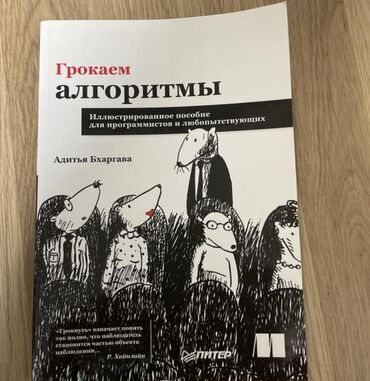 Другие книги и журналы: Продается книга Грокаем алгоритмы в отличном состояний