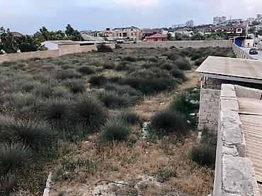 gen: 50 sot, Tikinti, Kupça (Çıxarış) — 8