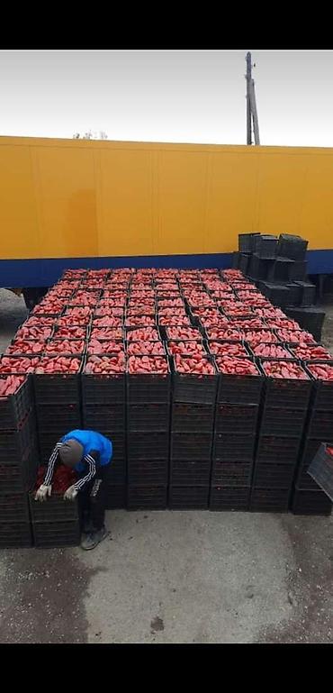 Ящики: Ящик, Новый — 19