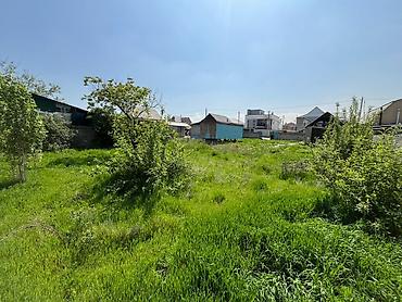 Продажа участков: 8 соток, Для строительства, Красная книга at lalafo.kg — 11 Продажа участков: 8 соток, Для строительства, Красная книга — 11